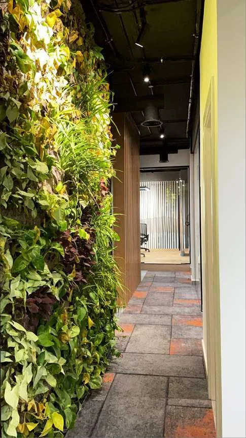 Private offices fit-out — portfolio photograph 4